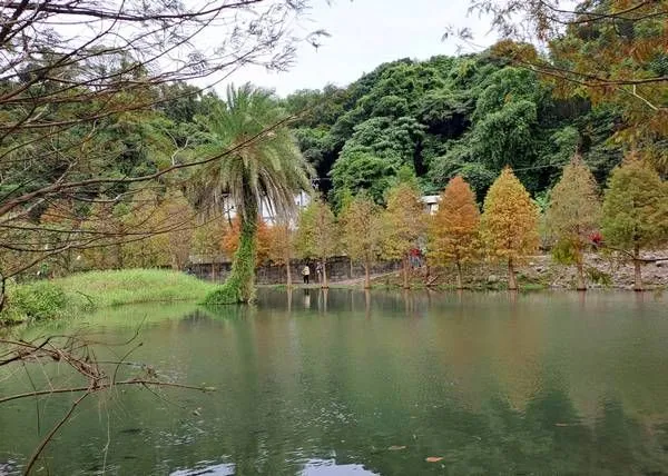 ▲桃園「112年大溪區全民健行活動」