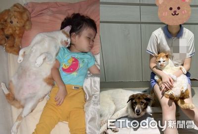 女兒剛成年!媽曬貓咪和她「18年成長對比照」 溫馨變化感動萬人