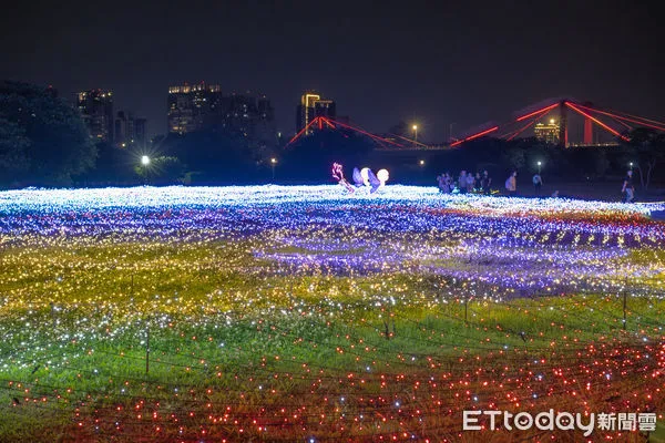 ▲蝴蝶公園,「2023新北河濱蝶戀季」即日起展至6月11日止,光雕。（圖／記者彭懷玉攝）