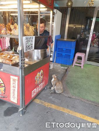 ▲▼開店遇「虎斑老饕」排隊眼神直盯雞腿　他笑：老闆壓力好大。（圖／網友授權提供）