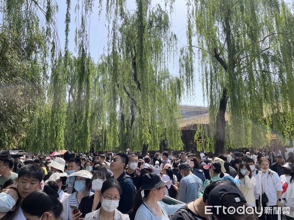 ▲▼ 猫熊,大貓熊,北京動物園,大熊貓 。（圖／記者蔡儀潔攝）