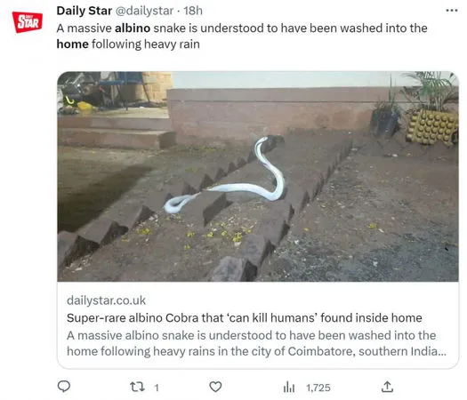 神奇白眼鏡蛇大雨期間闖入民宅　身長1.53公尺含劇毒
