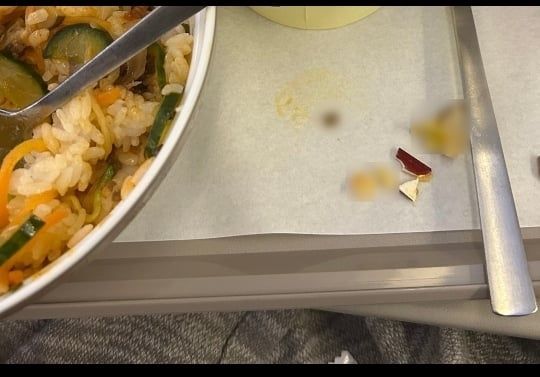 ▲▼一名乘客搭韓亞航空從夏威夷返回南韓，食用飛機餐時咬到碎片。（圖／翻攝自Naver Cafe）