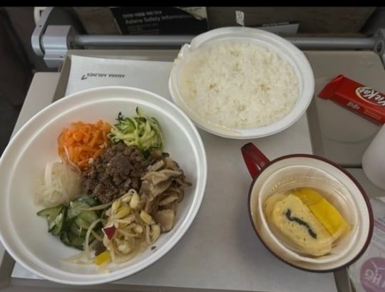 ▲▼一名乘客搭韓亞航空從夏威夷返回南韓，食用飛機餐時咬到碎片。（圖／翻攝自Naver Cafe）