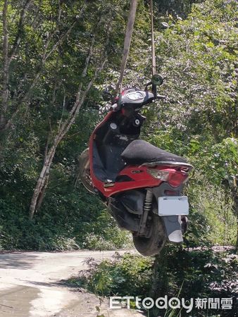 ▲女騎士失控人車跌落邊坡卡在雜樹林，所幸並未受傷。（圖／鳳林警分局提供，下同）