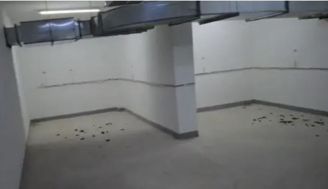 ▲▼上海一6歲兒童被打成腦震盪。（圖／翻攝自影片）