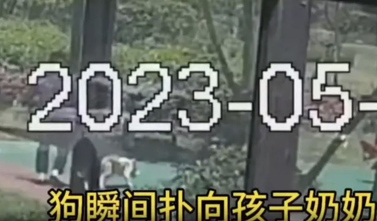 ▲▼上海一6歲兒童被打成腦震盪。（圖／翻攝自影片）