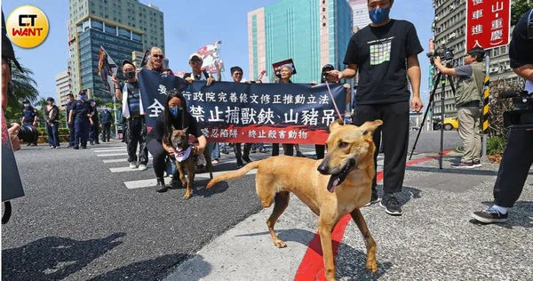 捕獸鋏和山豬吊禁用多年，至今卻仍在台灣山區氾濫造成動物嚴重傷害，動保團體於上月底到行政院門口抗議，希望主管機關能修法保護動物。（圖／黃鵬杰攝）