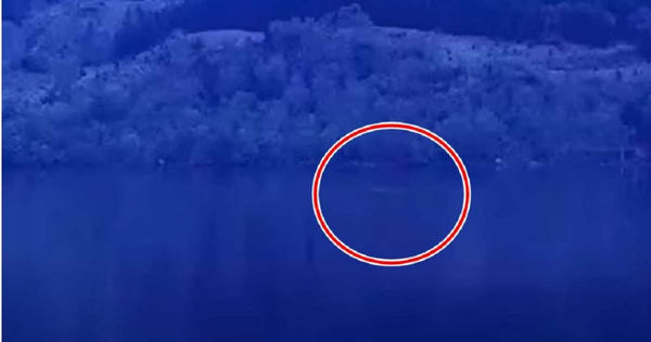 尼斯湖水怪「存在最有力證據」找到了　水怪獵人曬片驚曝：將近8公尺長
