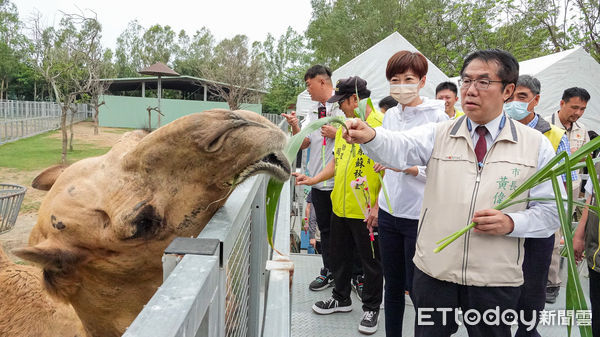 ▲台南市長黃偉哲前往頑皮世界野生動物園出席「2023做動物的守護者寫生比賽」，他拿起筆刷為壁畫牆上的長頸鹿等動物上色，象徵為動物們生命增添色彩。（圖／記者林悅翻攝，下同）