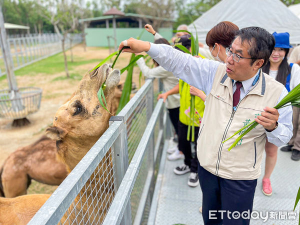 ▲台南市長黃偉哲前往頑皮世界野生動物園出席「2023做動物的守護者寫生比賽」，他拿起筆刷為壁畫牆上的長頸鹿等動物上色，象徵為動物們生命增添色彩。（圖／記者林悅翻攝，下同）