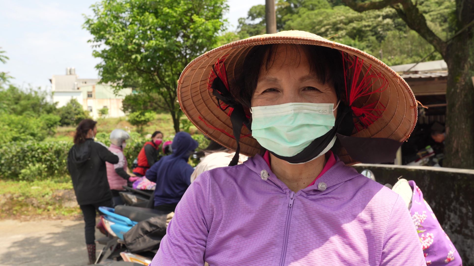 ▲三芝茶農助婦女2度就業　產製「櫻花茶」享譽國際。（圖／新北市農業局提供）
