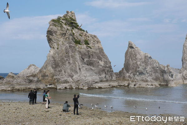 ▲淨土之濱,三陸復興國立公園,岩手縣宮古市旅遊,日本旅遊,日本海邊,宮古海貓丸遊覽船,黑尾鷗。（圖／記者彭懷玉攝）