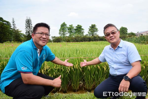 ▲屏科大農園系趙雲洋副教授(左)、全盈生技謝宏政總經理共同與田間水稻實驗成。(圖／屏科大提供)