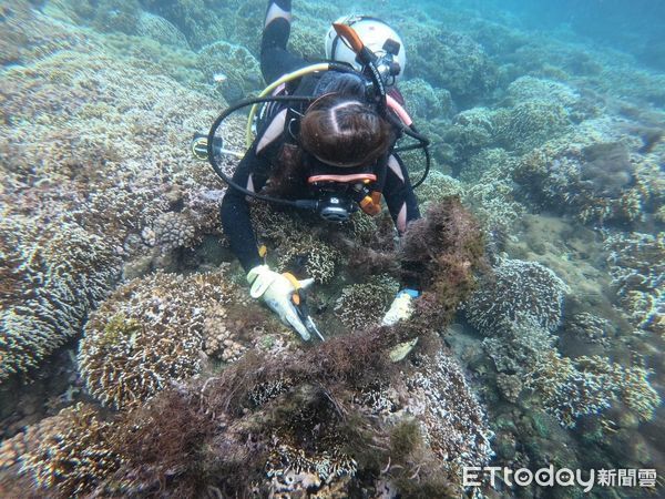 ▲▼潛海戰將下海清除海底垃圾。（圖／花蓮縣政府提供，下同）