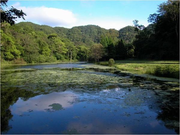 ▲▼宜蘭福山植物園。（圖／翻攝官網）