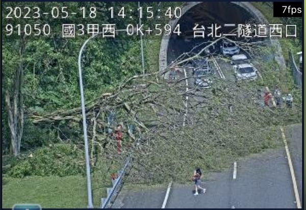 ▲▼       國三甲路樹倒塌      。（圖／翻攝高速公路1968）