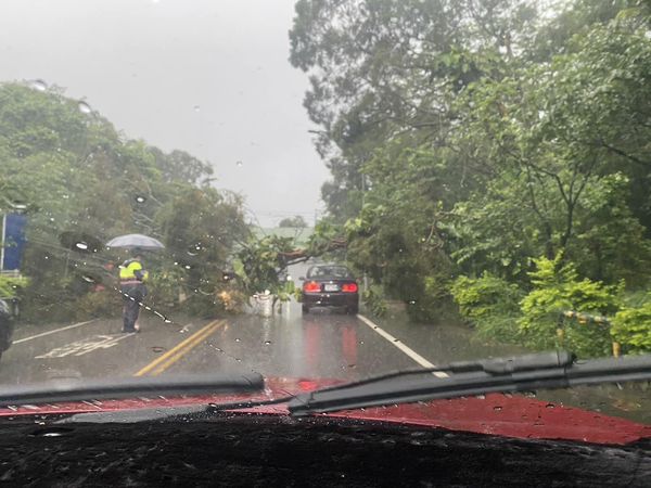 新竹寶山鄉淹水、路樹倒塌。（圖／翻攝自Facebook／新竹縣政府消防局第二大隊寶山分隊）