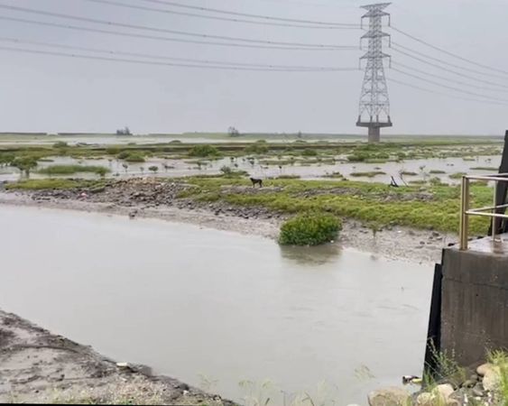 ▲彰化鹿港天后宮淹水。（圖／民眾提供）