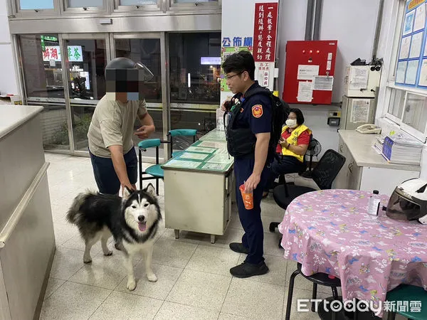 ▲▼哈士奇趁阿嬤開門外出偷逃家，跳陌生人機車踏墊賣萌找警察。（圖／記者賴文萱翻攝）