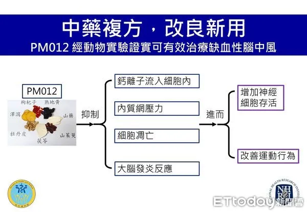 國衛院研究中藥複方改良新用，PM012經動物實驗證實可有效治療缺血性中風。（圖／記者趙于婷攝、國衛院提供）