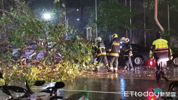 ▲▼台北路樹倒塌，1人被送醫。（圖／記者黃彥傑攝）
