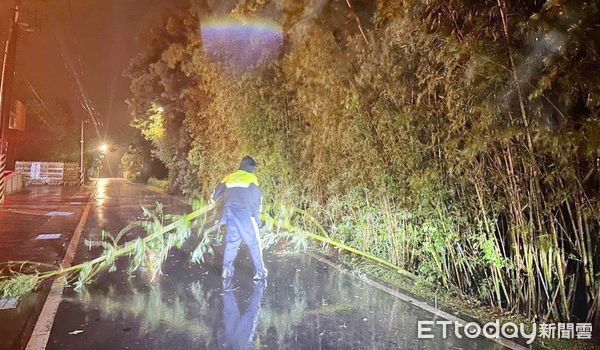 ▲桃園市龍潭區中原路三段竹林昨日凌晨因大雨傾倒路當中，員警巡邏察覺上前勘查。（圖／記者沈繼昌翻攝）