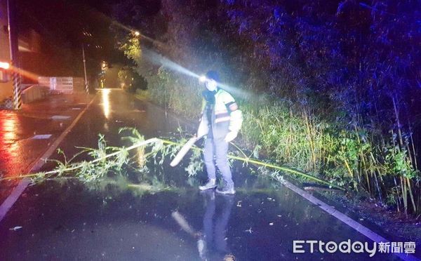 ▲桃園市龍潭區中原路三段竹林昨日凌晨因大雨傾倒路當中，員警冒雨鋸斷傾倒竹林。（圖／記者沈繼昌翻攝）