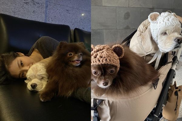 ▲Jennie時常在社群上分享寵物犬Kai、KUMA的萌照。（圖／翻攝自Instagram／jennierubyjane）