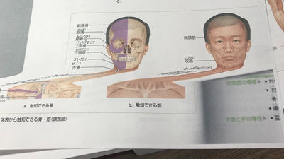 影印機一直出錯！他笑哭分享失敗作「怎麼變成這樣」　網樂：他們甚至還在笑