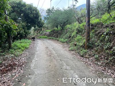 快訊／台南梅嶺詭異命案！　比丘尼「多處撕裂傷」倒臥產業道路亡