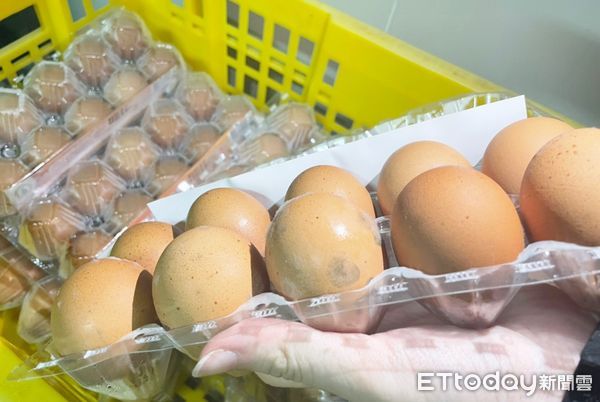 ▲桃園市衛生局食安稽查人員發現立群公司進口泰國盒裝雞蛋確實有發霉問題。（圖／記者沈繼昌翻攝）