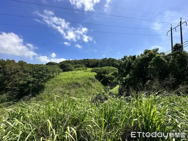 ▲▼ 台中,大肚區,運動公園,農地,節稅,山坡地,保值,免稅            。（圖／記者陳筱惠攝）