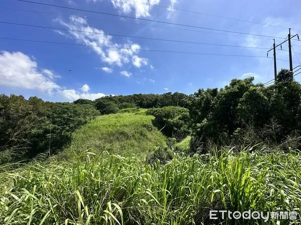 ▲▼ 台中,大肚區,運動公園,農地,節稅,山坡地,保值,免稅            。（圖／記者陳筱惠攝）