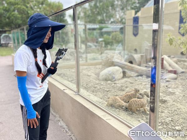 ▲韓國直播主企鵝妹，31日走訪台南頑皮世界動物園，在園方安排下，近距離和動物互動。（圖／記者林悅翻攝，下同）