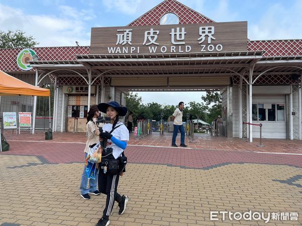 ▲韓國直播主企鵝妹，31日走訪台南頑皮世界動物園，在園方安排下，近距離和動物互動。（圖／記者林悅翻攝，下同）