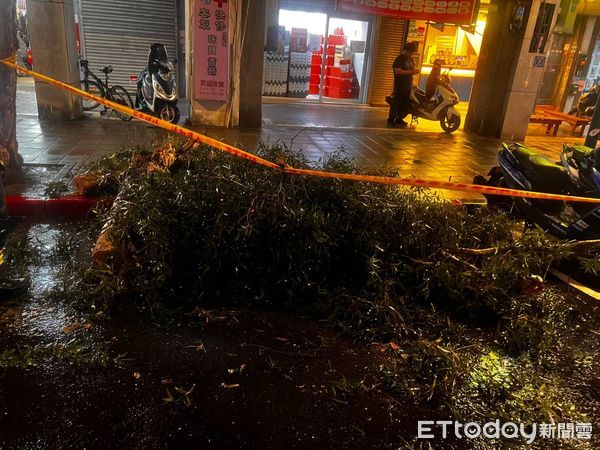 ▲▼北市重慶北路1段路樹倒塌，壓到停放路邊機車。（圖／記者邱中岳翻攝）