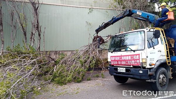 ▲▼高雄頻爆路樹被吹倒事故。（圖／記者賴文萱翻攝）