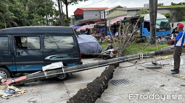 ▲▼高雄頻爆路樹被吹倒事故。（圖／記者賴文萱翻攝）