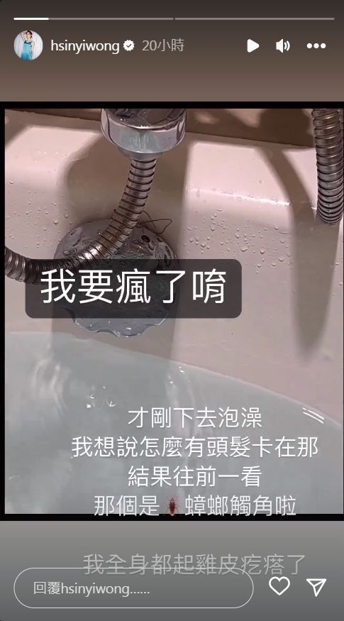 ▲▼翁馨儀泡澡到一半發現浴缸卡蟑螂。（圖／翻攝自Instagram／hsinyiwong）