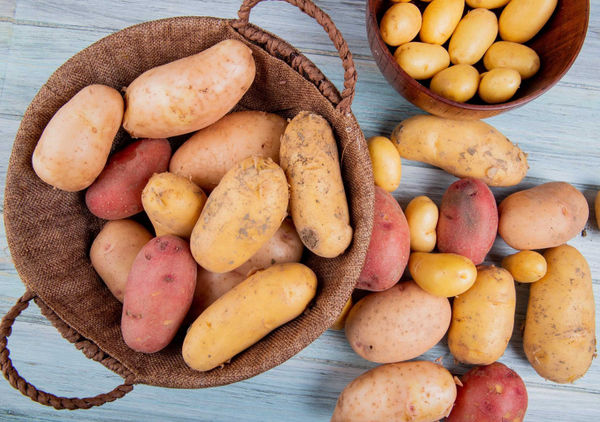 地瓜、馬鈴薯煮熟後冷藏便會增加抗性澱粉的含量，不僅熱量降低、也會更有飽足感。（圖／123RF）