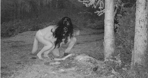 裸女啃食林中鹿屍　她檢查動物攝影機嚇壞：女巫傳說是真的！