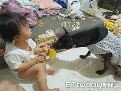 家裡驚見「黑色長頸鹿」脖子伸超長 阿母實際測量:有24公分