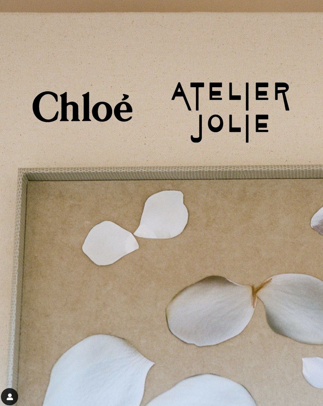 ▲▼Chloé宣布攜手Atelier Jolie 。（圖／品牌提供）