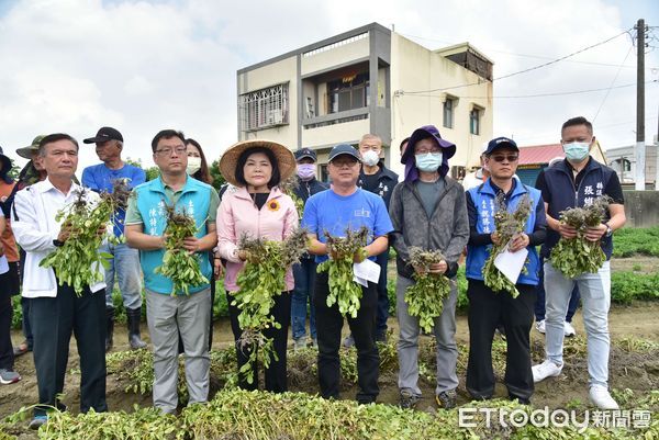 ▲土庫公所通報的受損面積約100公頃，損害都在3成以上，今天縣府會以最速件發函建議中央公告天然災害救助。（圖／記者蔡佩旻翻攝）