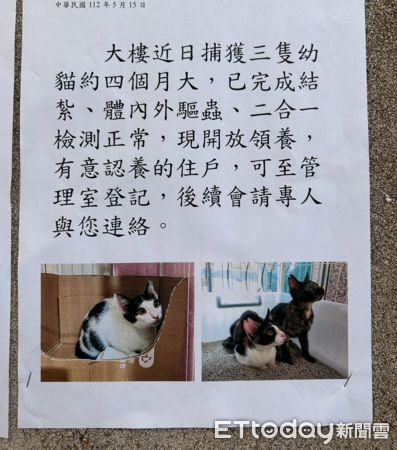 貓咪友善社區。（圖／網友Bei Bei Chu提供）