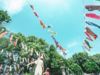 桃園「鯉魚流光祭り」展到7／9！
