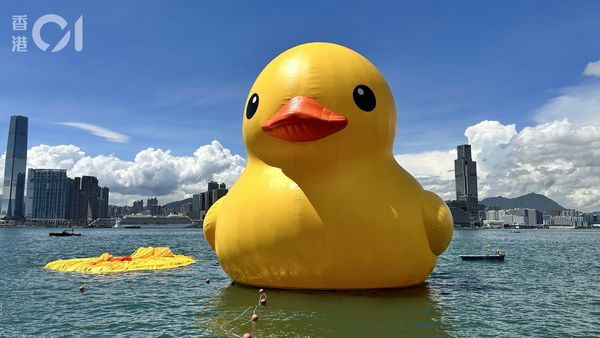▲香港「黃色小鴨」正式登場首日便傳出其中一隻疑似「漏氣」變成鴨皮漂在水面上。（圖／香港01）