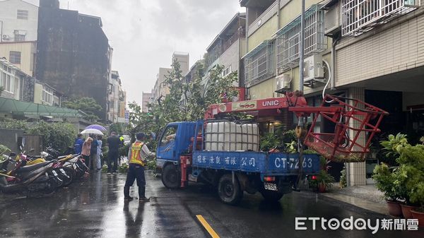 ▲▼台中午後下起一場大雨，造成路樹倒塌，壓毀2輛汽機車。（圖／民眾提供，下同）