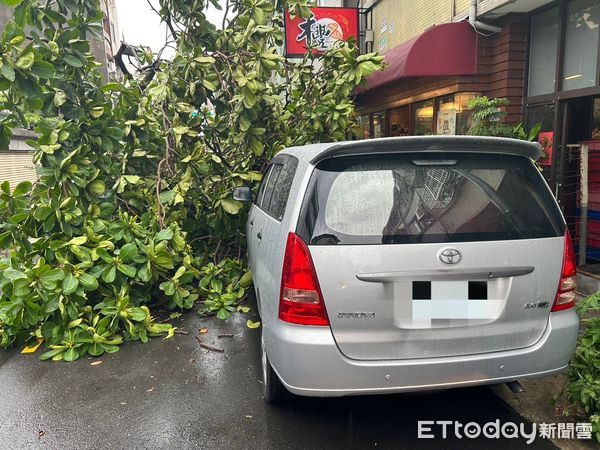 ▲▼台中午後下起一場大雨，造成路樹倒塌，壓毀2輛汽機車。（圖／民眾提供，下同）